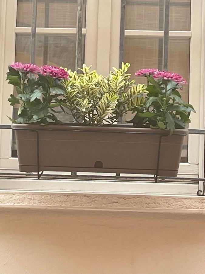 Cuor Di Mantova B&B מראה חיצוני תמונה